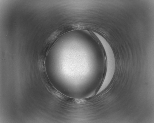 X0000054380429200508191917