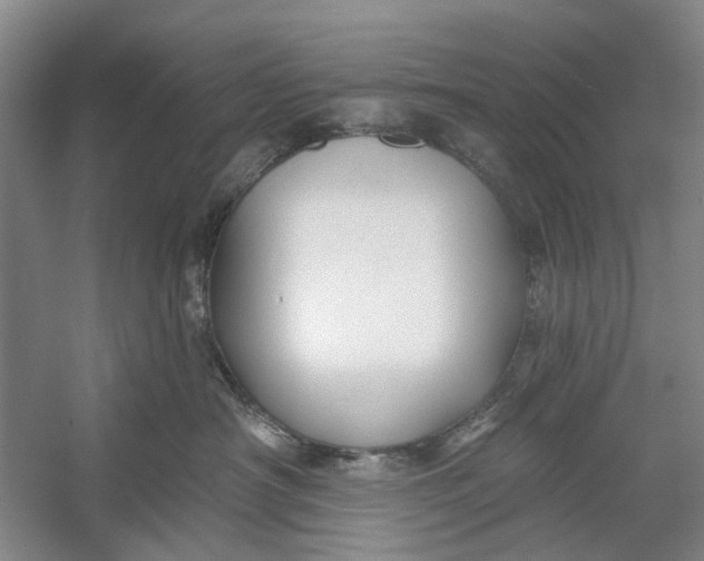 X0000054380430200508191917