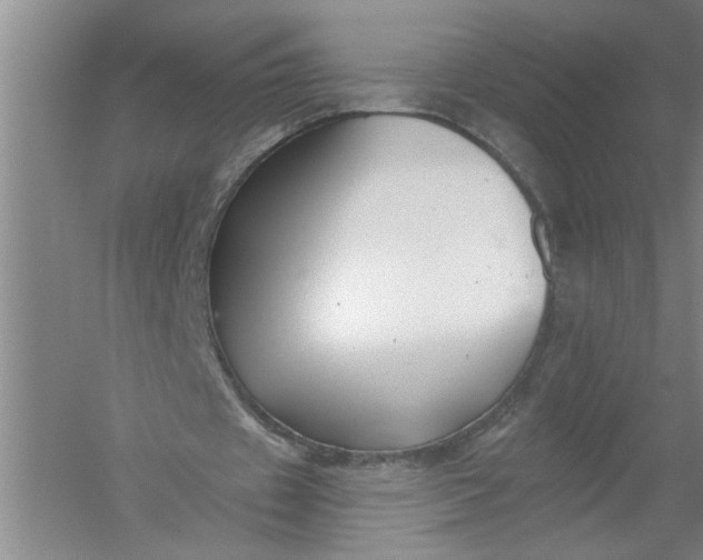 X0000054380433200508191917