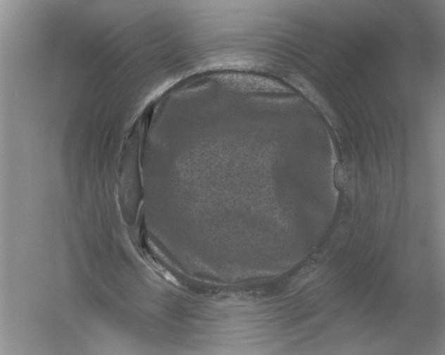 X0000054380434200508191917