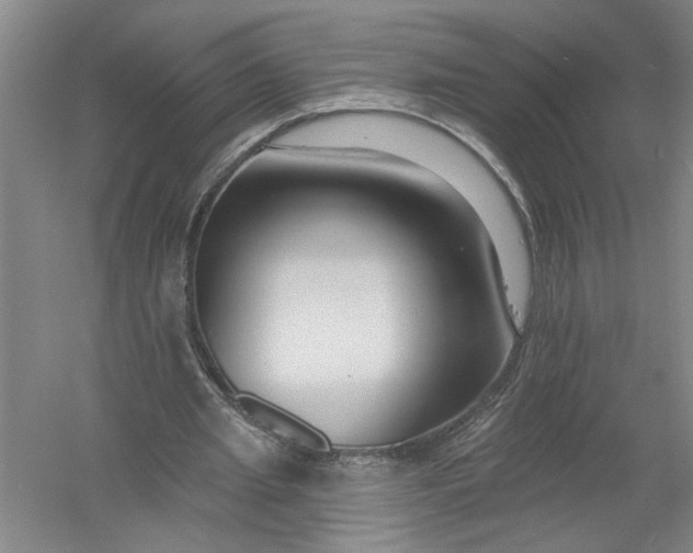 X0000054380437200508191917