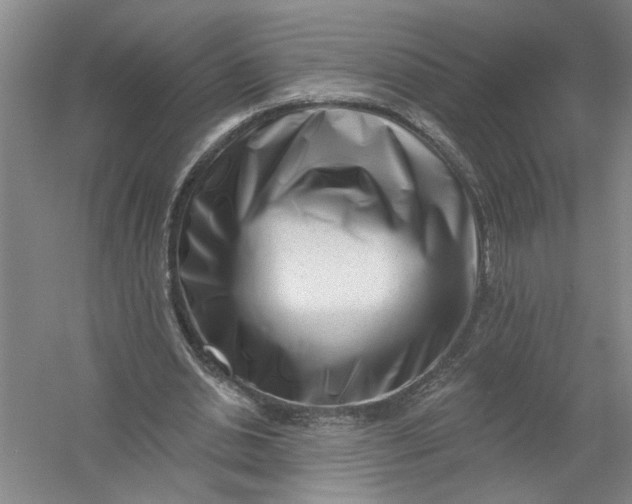 X0000054380438200508191917