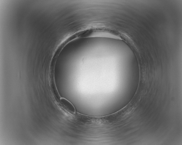 X0000054380439200508191917