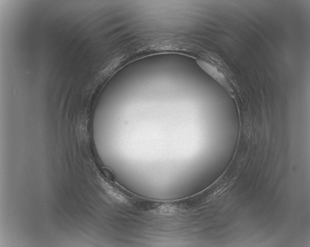 X0000054380441200508191917