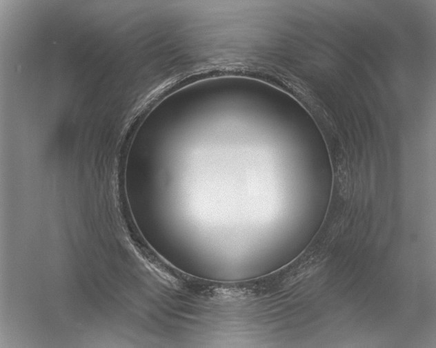 X0000054380442200508191917