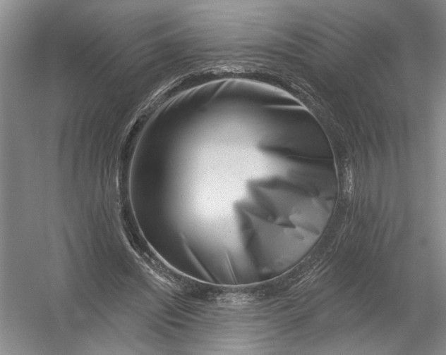 X0000054380444200508191917