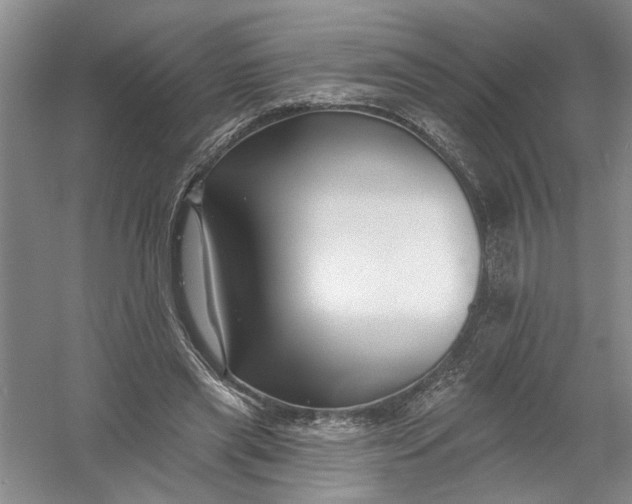 X0000054380445200508191917