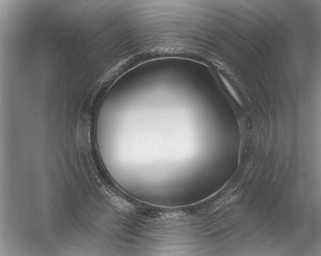 X0000054380446200508191917