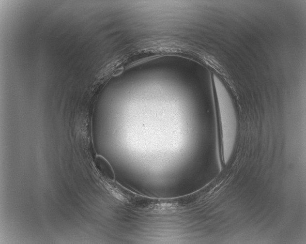 X0000054380449200508191917