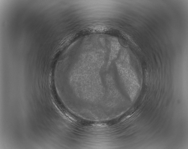 X0000054380451200508191917