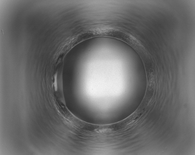 X0000054380452200508191917