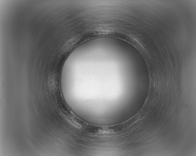 X0000054380455200508191917