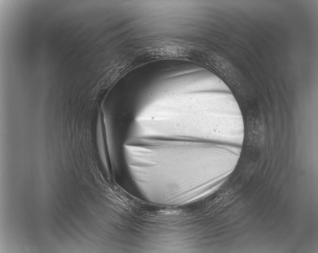 X0000054380457200508191917