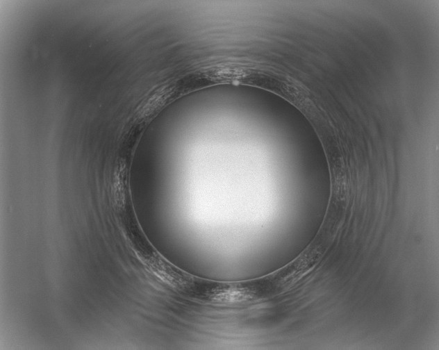 X0000054380460200508191917