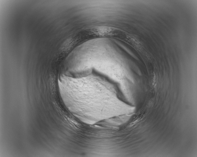 X0000054380461200508191917