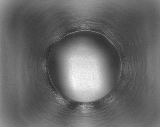 X0000054380466200508191917