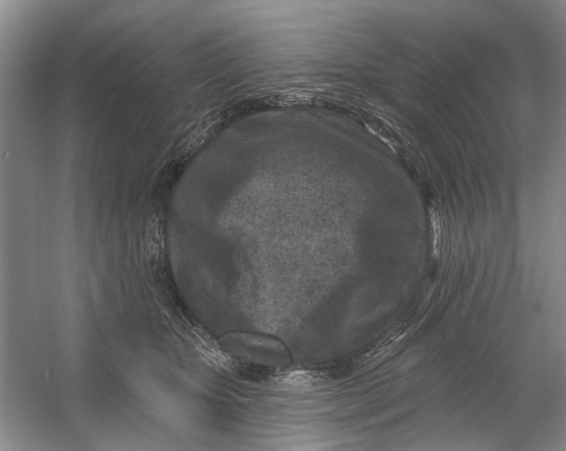 X0000054380467200508191917