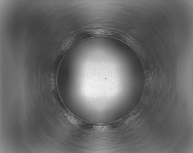 X0000054380469200508191917