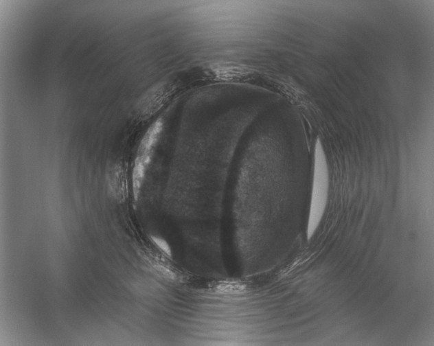 X0000054380471200508191917