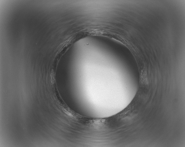 X0000054380474200508191917