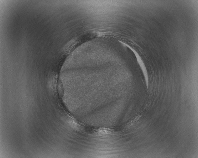 X0000054380475200508191917