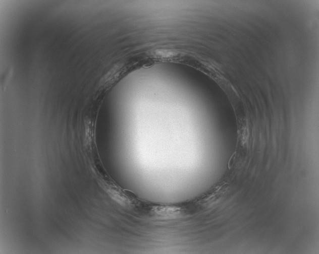 X0000054380476200508191917