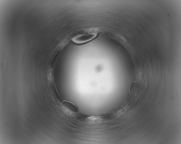 X0000054380477200508191917