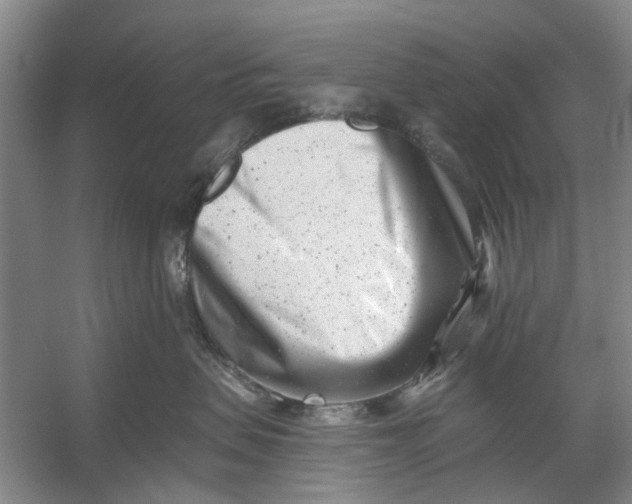 X0000054380479200508191917