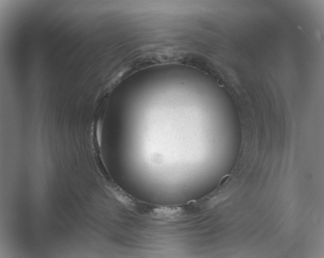 X0000054380480200508191917