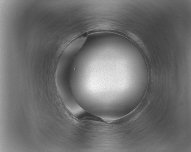 X0000054380481200508191916