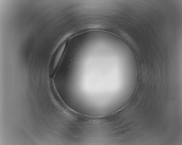 X0000054380482200508191916