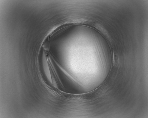 X0000054380483200508191916