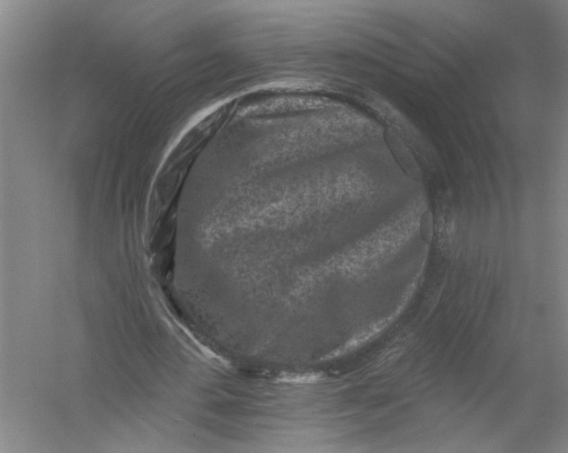 X0000054380484200508191916