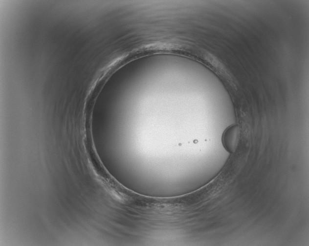 X0000054380486200508191916