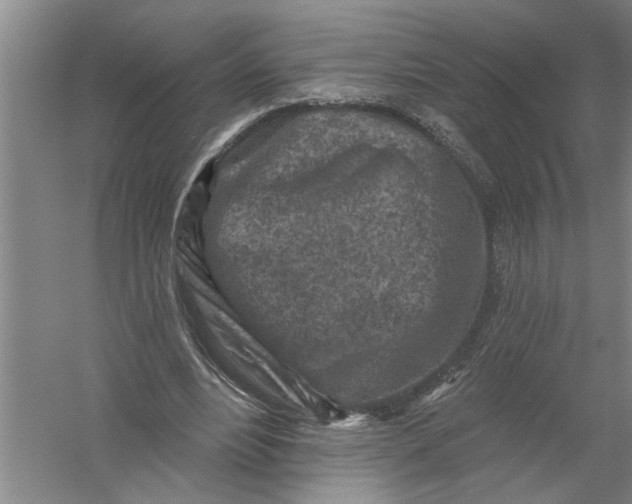 X0000054380488200508191916