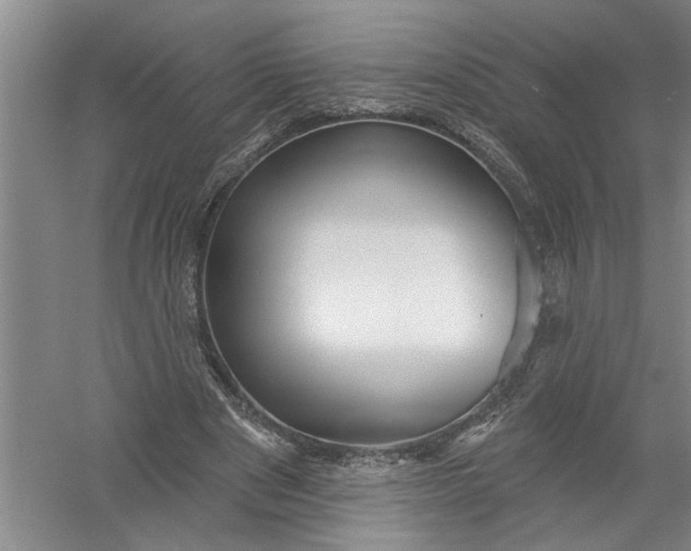 X0000054380489200508191916