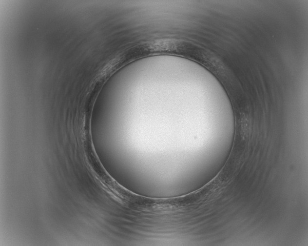 X0000054380490200508191916