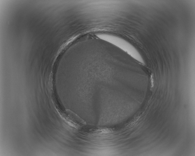 X0000054380492200508191916