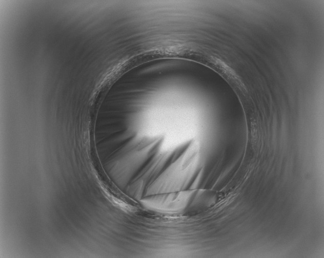 X0000054380493200508191916