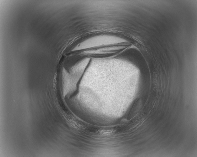 X0000054380495200508191916