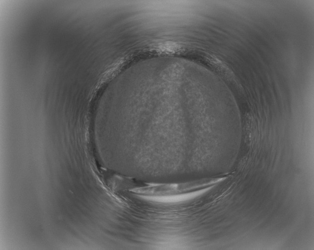 X0000054380496200508191916