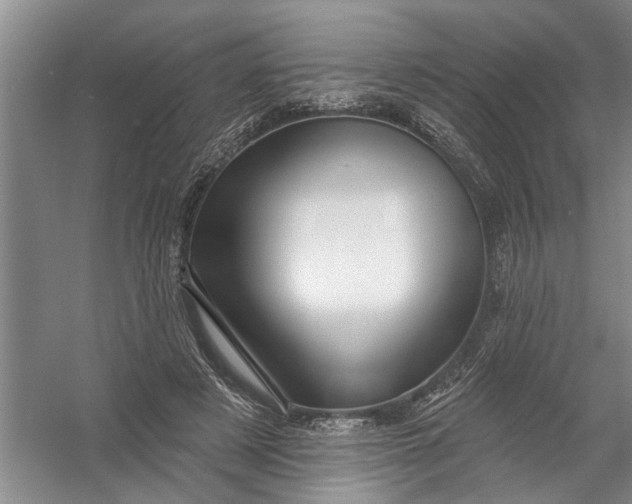 X0000054380497200508191916