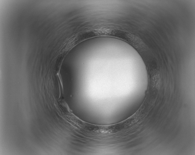 X0000054380498200508191916