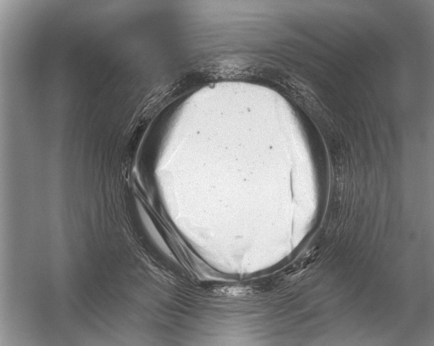 X0000054380503200508191916