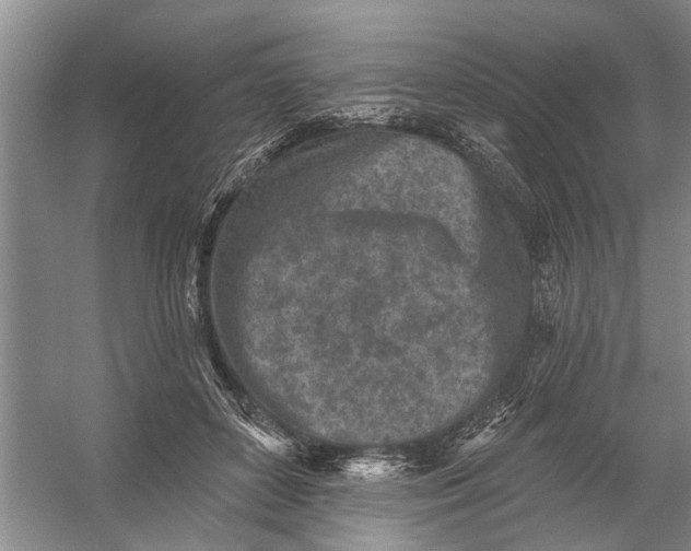 X0000054380504200508191916