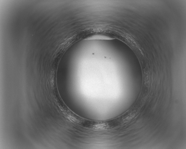 X0000054380505200508191916