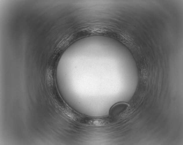 X0000054380506200508191916