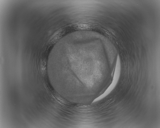 X0000054380507200508191916