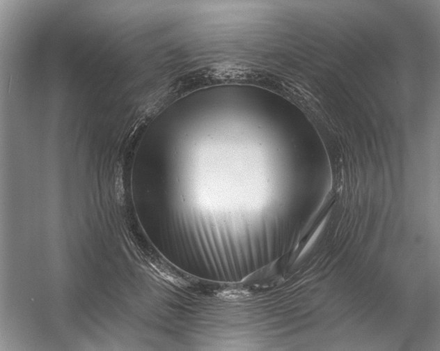 X0000054380508200508191916