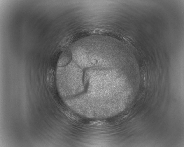 X0000054380511200508191916